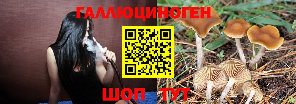 Псилоцибиновые грибы прущие грибы  Вход с VPN  Тула 