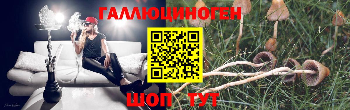 Псилоцибиновые грибы GOLDEN TEACHER Тула
